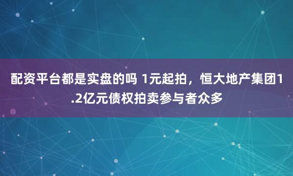 配资平台都是实盘的吗 1元起拍，恒大地产集团1.2亿元债权拍卖参与者众多