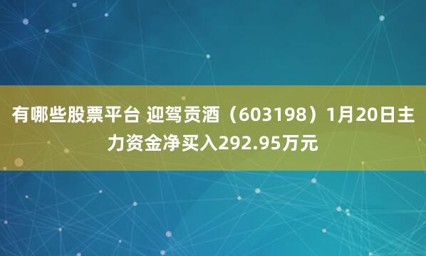 有哪些股票平台 迎驾贡酒（603198）1月20日主力资金净买入292.95万元