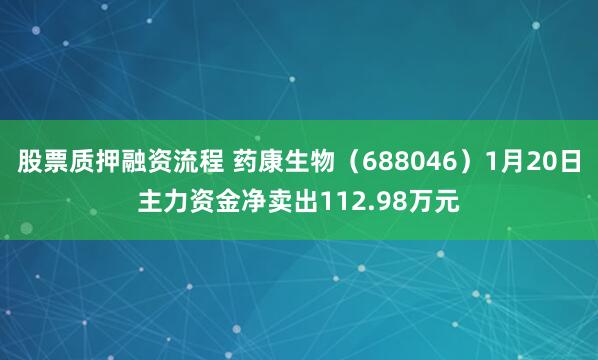 股票质押融资流程 药康生物（688046）1月20日主力资金净卖出112.98万元