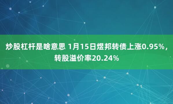 炒股杠杆是啥意思 1月15日煜邦转债上涨0.95%，转股溢价率20.24%