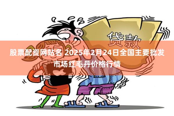 股票配资网站名 2025年2月24日全国主要批发市场红毛丹价格行情