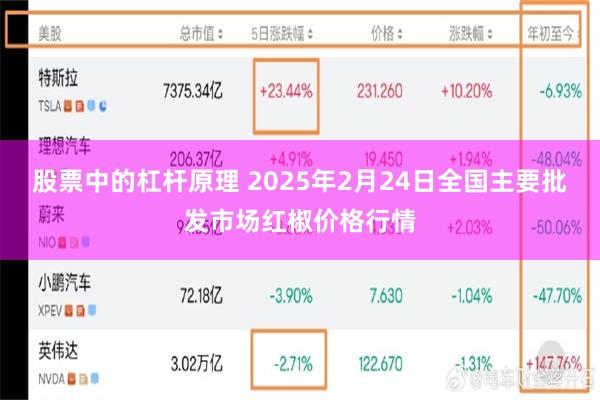 股票中的杠杆原理 2025年2月24日全国主要批发市场红椒价格行情