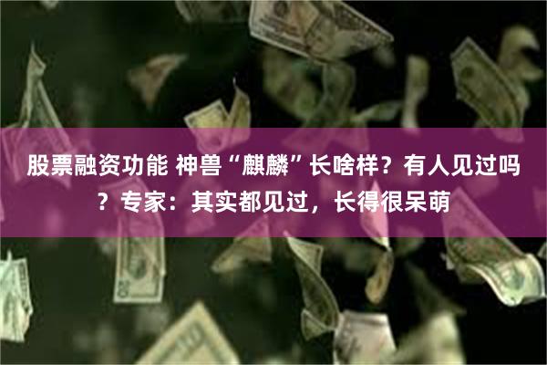 股票融资功能 神兽“麒麟”长啥样？有人见过吗？专家：其实都见过，长得很呆萌