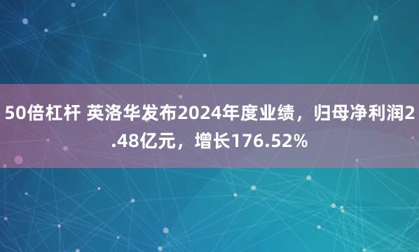 50倍杠杆 英洛华发布2024年度业绩，归母净利润2.48亿元，增长176.52%